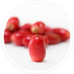 Baie Miracle : superfruit qui transforme l'acidité et l'amertume en sucre